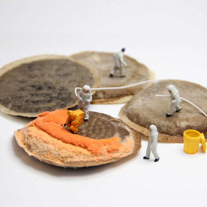 Kavos aparatų remontas Kaune: išsamus vadovas verslui kaip sutaupyti ir išvengti papildomų išlaidų