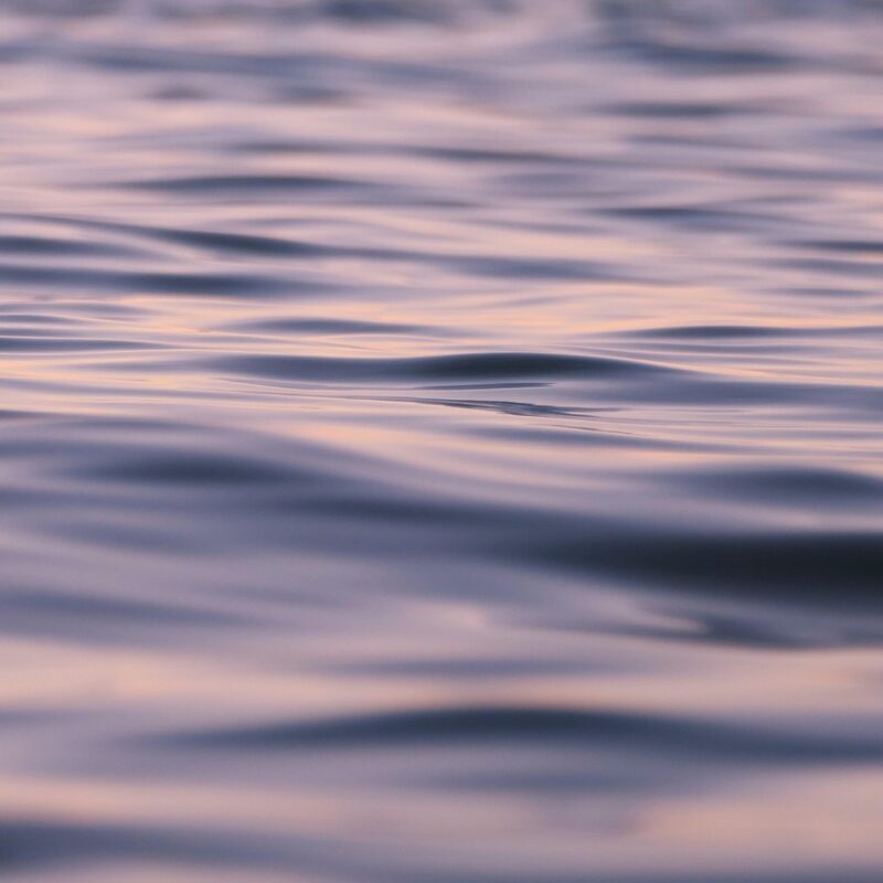 Kaip CSR iniciatyvos stiprina verslo reputaciją ir darbuotojų įsitraukimą Baltijos šalyse