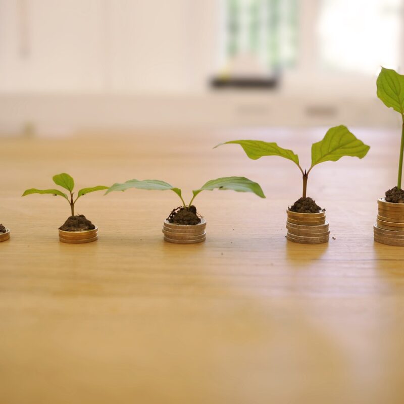 Kaip sumažinti kredito įmoką neperkainojant būsto: 7 bankininkų nereklamuojami būdai