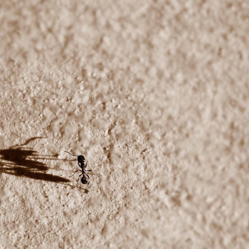 Kaip mažos įmonės gali įgyvendinti socialinę atsakomybę su minimaliu biudžetu ir maksimaliu poveikiu